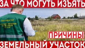 Карельский Росреестр объяснил, у кого могут изъять земельный участок и как этого избежать 