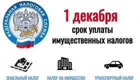 Уплата имущественного налога до 1 декабря 2025 года