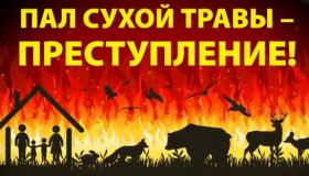 Запрет на весенние палы травы!
