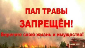 Весенний пал травы – это опасно!