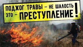 Поджог сухой травы и бесконтрольное сжигание мусора—не просто нарушение правил пожарной безопасности, а серьёзная угроза, способная за короткое время охватить огромные территории и привести к катастрофическим последствиям.