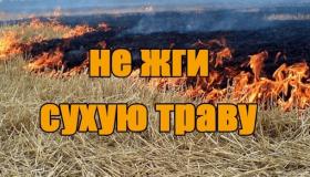 Поджог сухой травы и бесконтрольное сжигание мусора-  это одна из причин пожаров.