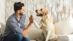 Вниманию владельцев домашних животных!